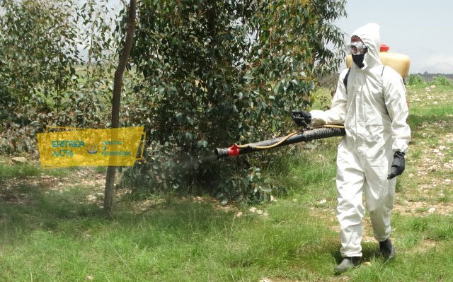 Call for regular surveillance on prevalence of pests - Vimarsana News