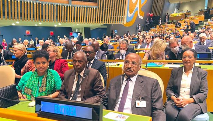 Senior Eritrean delegation held bilateral talks with delegates of several countries - Vimarsana News