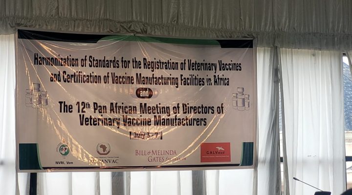 Eritrea:  Participation in the Pan-African Meeting of Vaccine Producing Countries - Vimarsana News