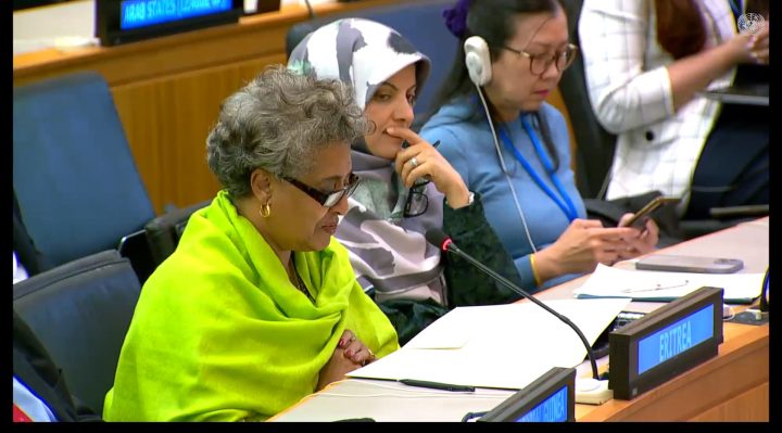 Statement by Ambassador Sophia Tesfamariam - Vimarsana News