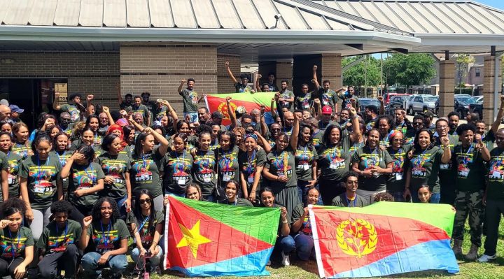Diplomatic Activities by Diaspora Nationals - Vimarsana News